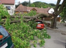 Kwikfynd Tree Cutting Services
yarawindah